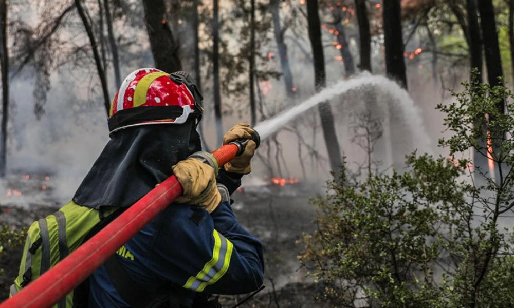 Εύβοια: Yπό μερικό έλεγχο η φωτιά στον Πισσώνα